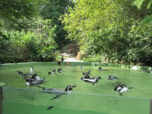 ZOO Zlín-Lešná: Cesta kolem světa za jediný den - 893830 - 