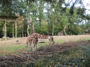 ZOO Zlín-Lešná: Cesta kolem světa za jediný den - 893833 - 