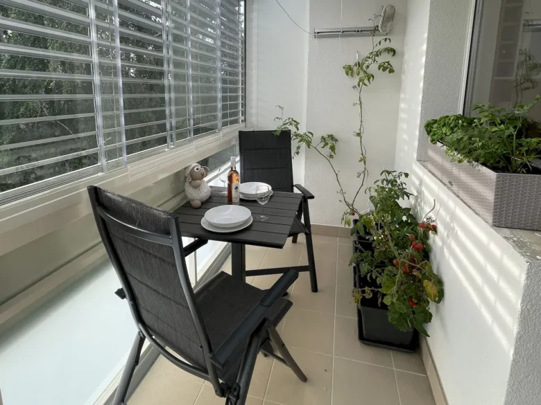 Obývaný balkon s rostlinami a venkovním nábytkem po rekonstrukci.