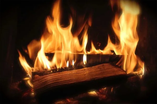 Hořící dřevo v krbu s jasnými plameny a uhlíky.