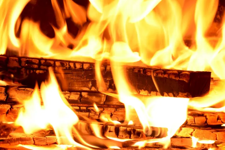 Burning wood logs in fire