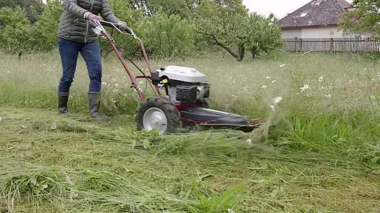 Osoba řezí trávu kosou na zahradě.