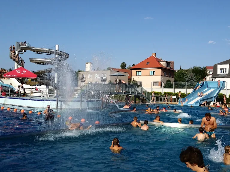 People swimming in pool with slides