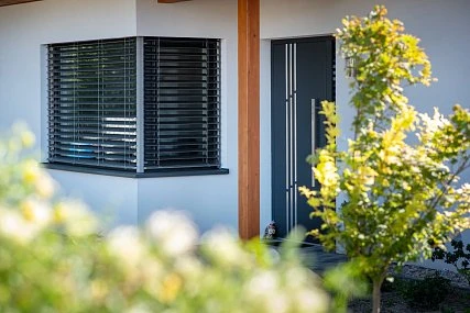 Window with blinds and door