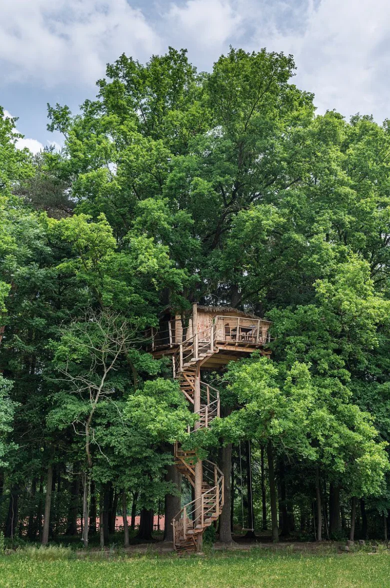 Treehouse with spiral staircase