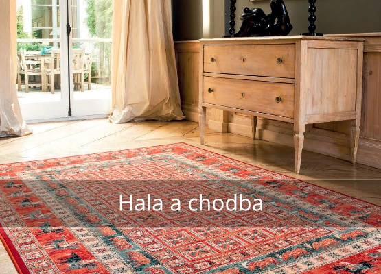 Koberce do obývacího pokoje s nábytkem u okna