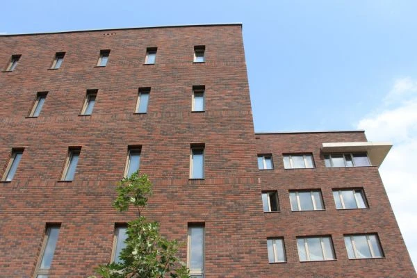 Brick facade cladding